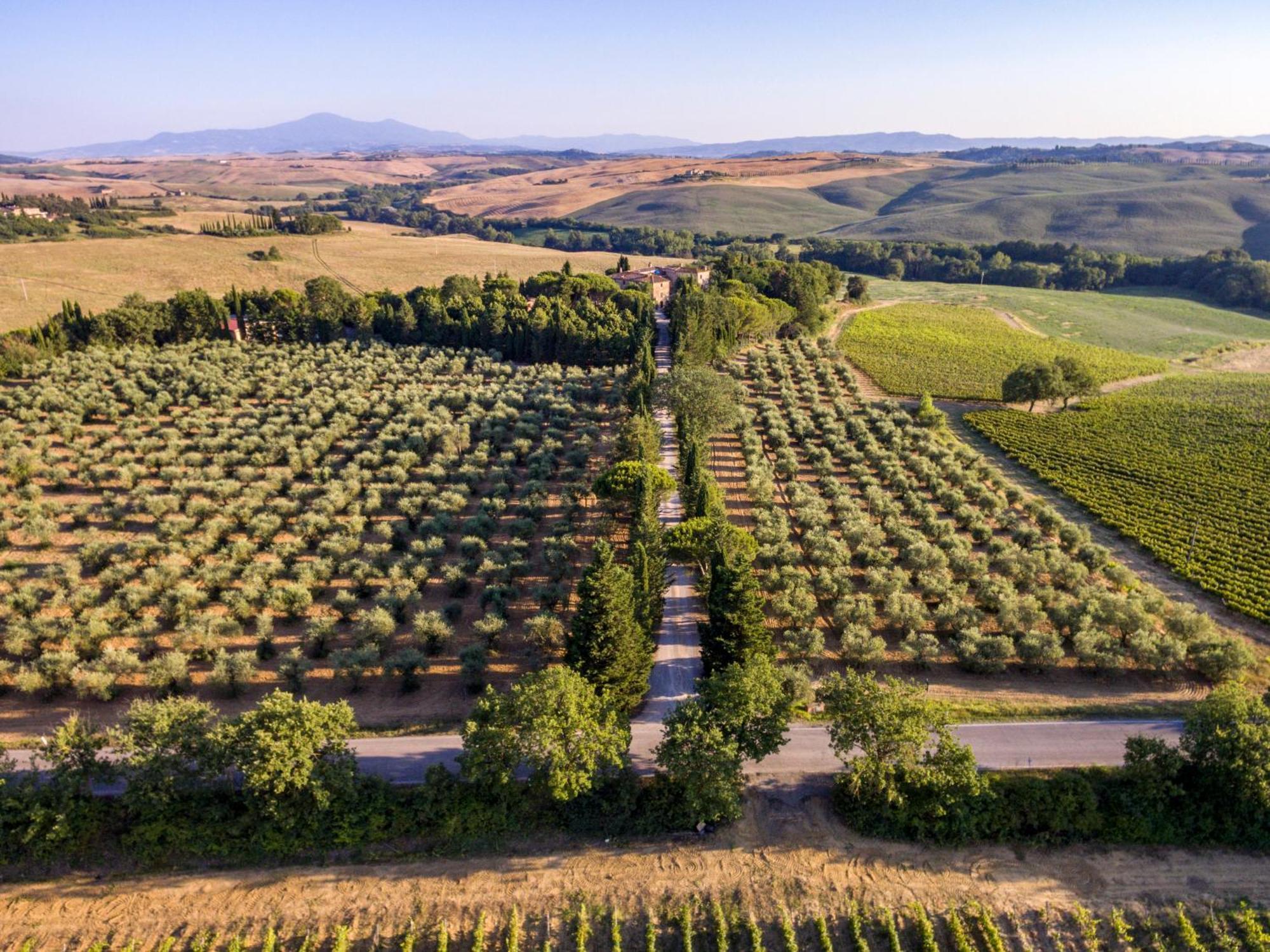 Agriturismo Pometti - Fattoria La Selva Trequanda Buitenkant foto